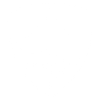DSA Logo white